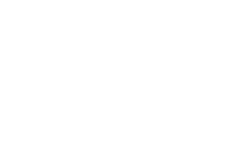 Fleming Auto logo